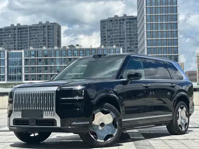Zeekr 极氪9X