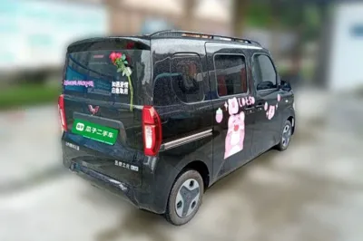 Wuling Zhiguang New Energy