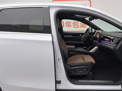 BYD Tang New Energy