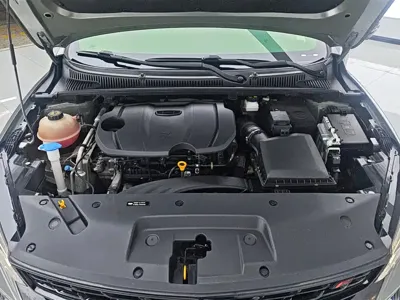 Geely Binrui