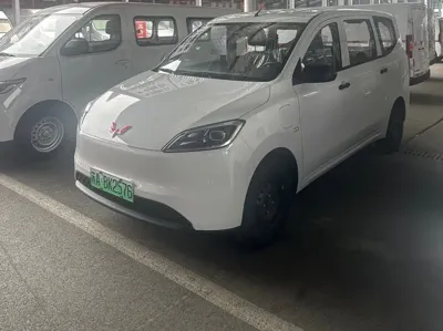 Wuling Hongguang EV