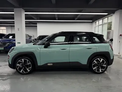 MINI MINI ACEMAN EV