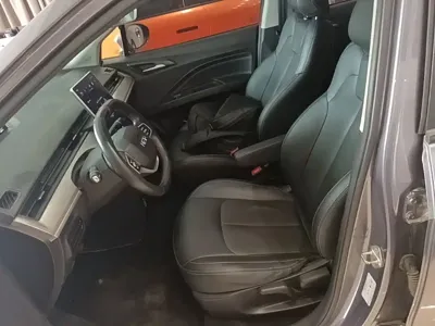 NETA Neta V