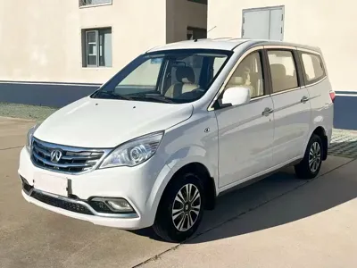 BAW Weiwang M20