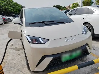 BYD Seagull