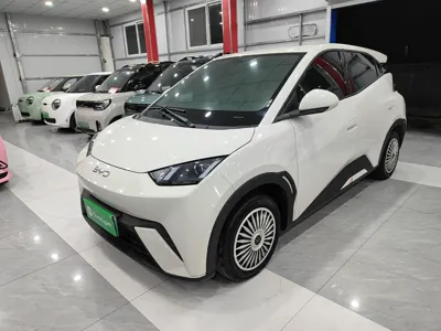 BYD Seagull