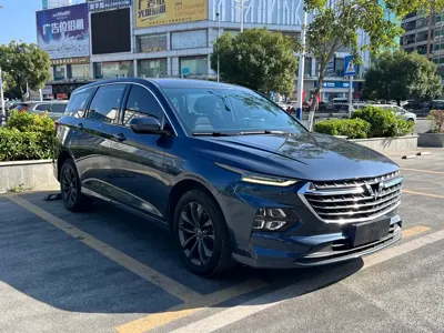 Wuling Victory