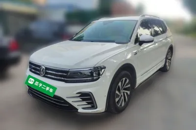 Volkswagen Tiguan L New Energy