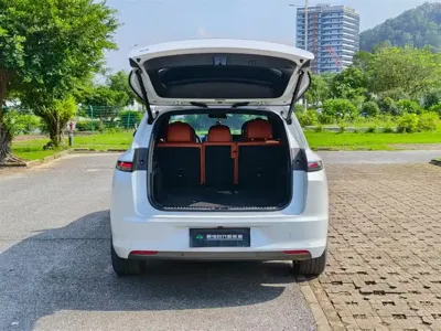 Li Auto Li L7