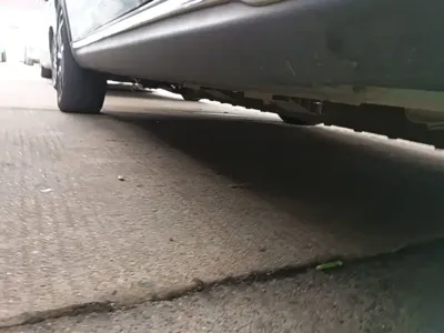 NETA Neta V