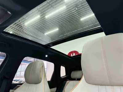 BYD Pro New Energy