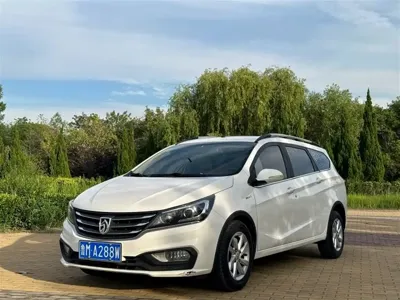 Baojun 310W
