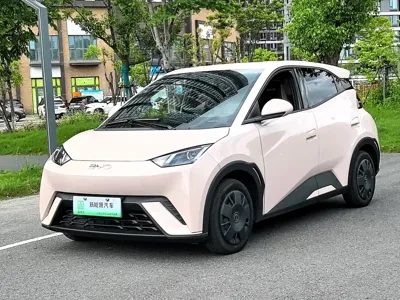 BYD Seagull