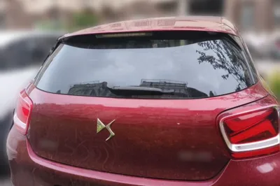 DS 4S