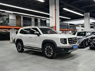 Haval Big Dog
