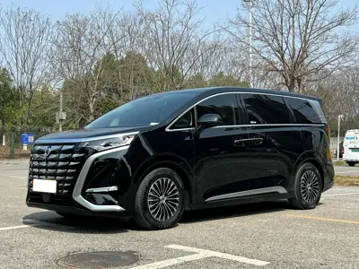 Denza Denza D9