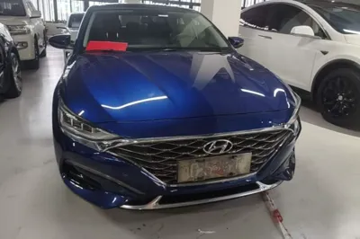Hyundai Lafesta