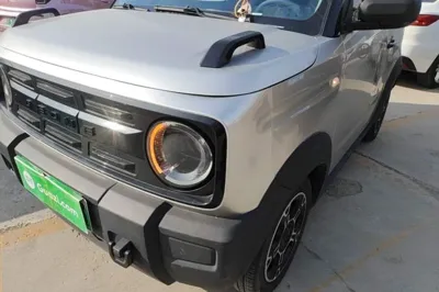 Geely Galaxy Panda
