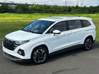 Hyundai Custo