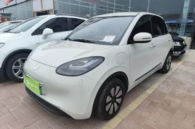 Wuling Bingo