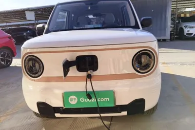 Geely Galaxy Panda