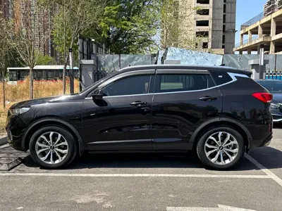 WEY Wey VV6