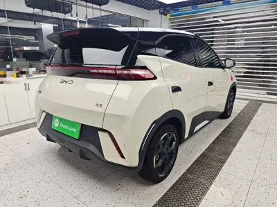 BYD Seagull
