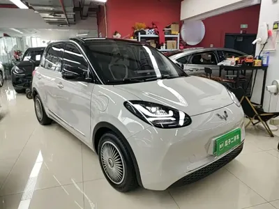 Wuling Bingo
