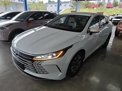 BYD Destroyer 05