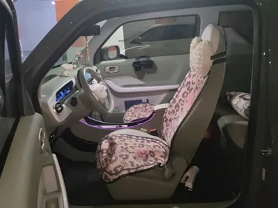 Galaxy Panda