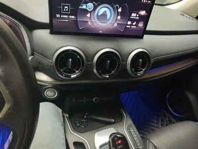WEY VV6