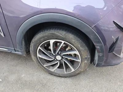 Zotye T300