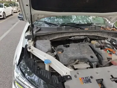 Roewe RX5 New Energy
