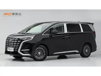 Denza Denza D9