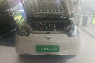 Wuling Bingo