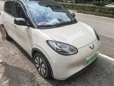 Wuling Bingo