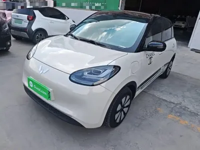 Wuling Bingo