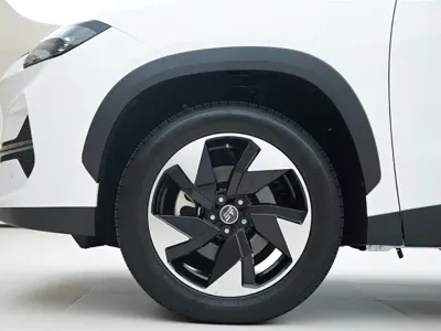Shanhai Shanhai L6