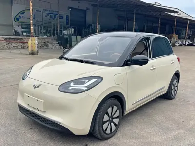Wuling Bingo