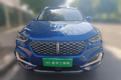 WEY VV6