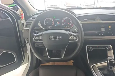 Geely Auto Binray