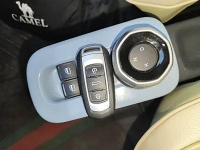 Geely Galaxy Panda