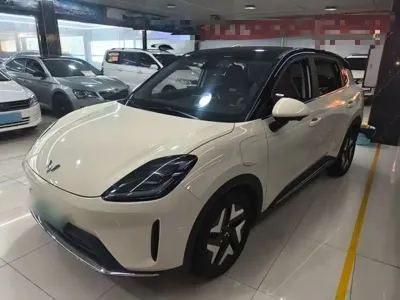 Wuling 缤果S