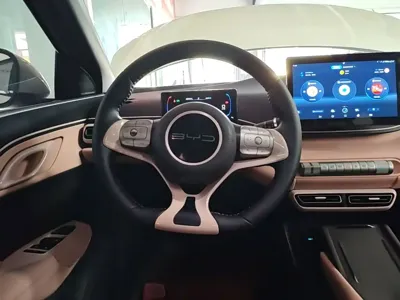 BYD Seagull