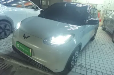 Wuling Bingo
