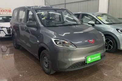 Wuling Hongguang New Energy