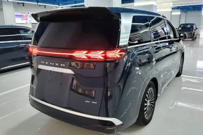 Denza D9
