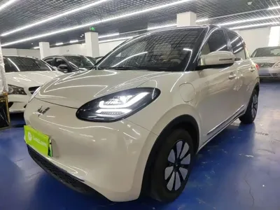Wuling Bingo