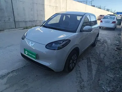 Wuling Bingo