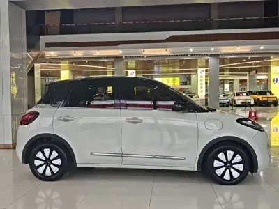 Wuling Bingo